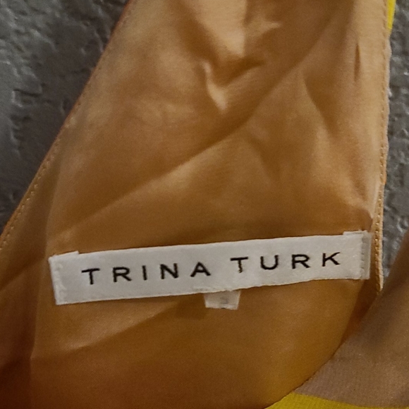 Silk Trina Turk top,  elegant - Picture 9 of 15